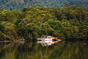 The Tarkine